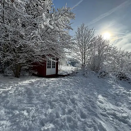 Alpenblick-hotzenwald *