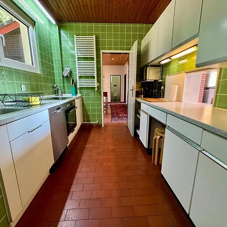 Alpenblick-hotzenwald 里肯巴赫