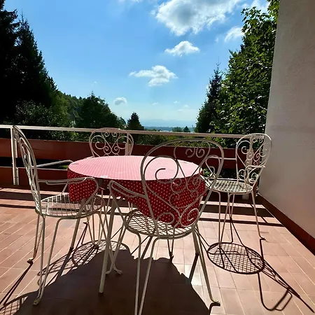 Alpenblick-hotzenwald *