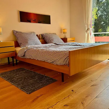 Alpenblick-hotzenwald 度假居 *