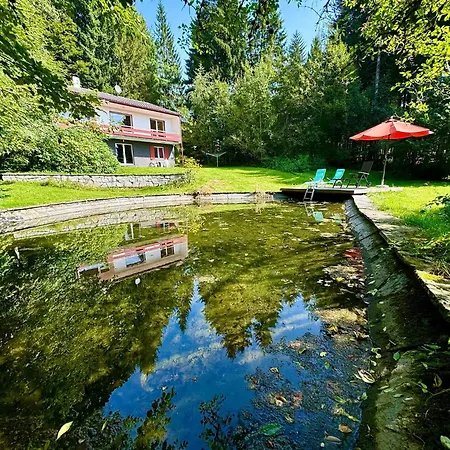 Alpenblick-hotzenwald * Rickenbach (Baden-Wurttemberg)