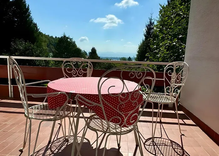 Alpenblick-hotzenwald *